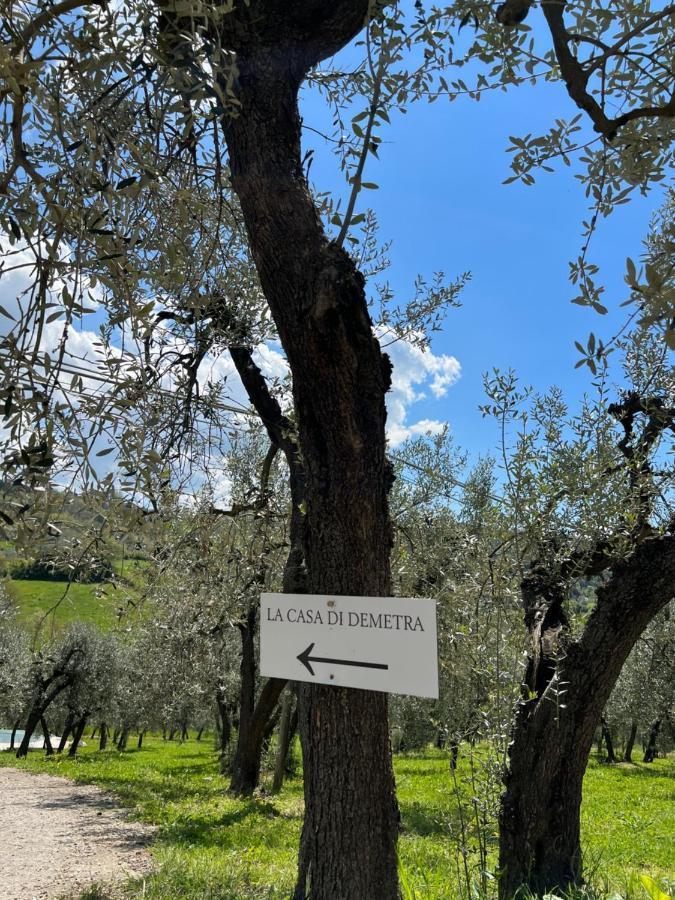 La Casa Di Demetra. Un Paradiso Tra Gli Olivi. Montecchio  Εξωτερικό φωτογραφία